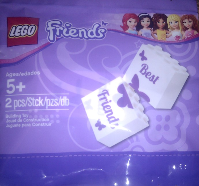 LEGO 6024305 - Best Friends bricks